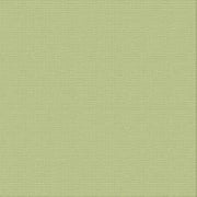 CARD STOCK 216GSM 5pack - VERDE 12 x 12